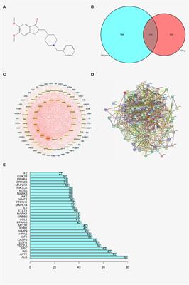 A Network Pharmacology Based Research on the Mechanism of Donepezil in Treating Alzheimer's Disease